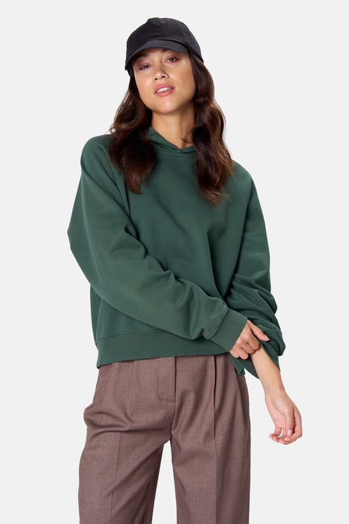 Sweater met kap - groen