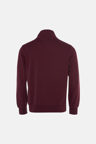 Pull met rolkraag - bordeaux
