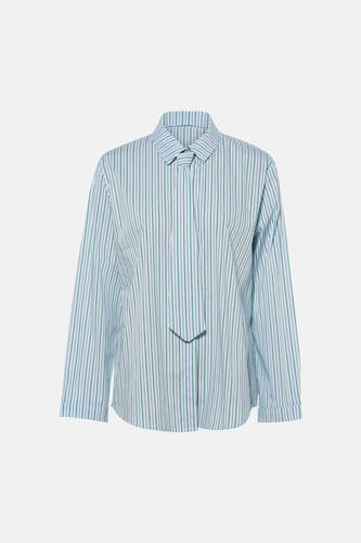 Blauw gestreept overhemd van Terra di Siena, met lange mouwen en een knoopsluiting.