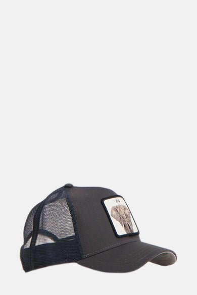 Casquette - gris