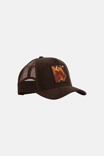 Casquette - brun