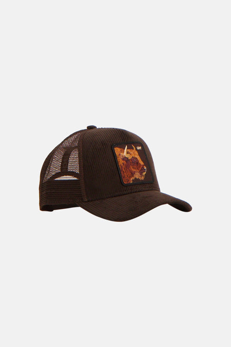 Casquette - brun