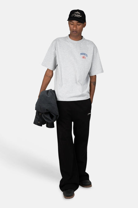 T-shirt (manches courtes) gris - PROHIBITED