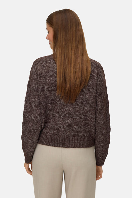 Pull met rolkraag - bruin