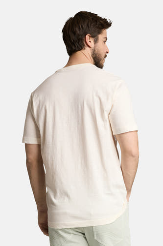 Ecru T-shirt met korte mouwen van TOM TAILOR, gezien vanaf de achterkant, gedragen met een broek.