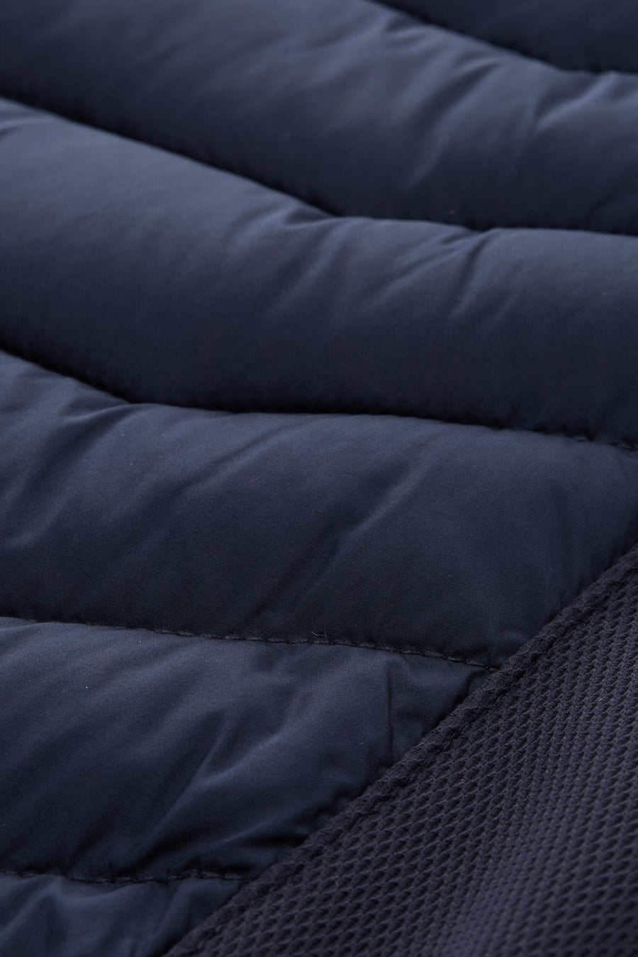 Veste courte - bleu - TOM TAILOR