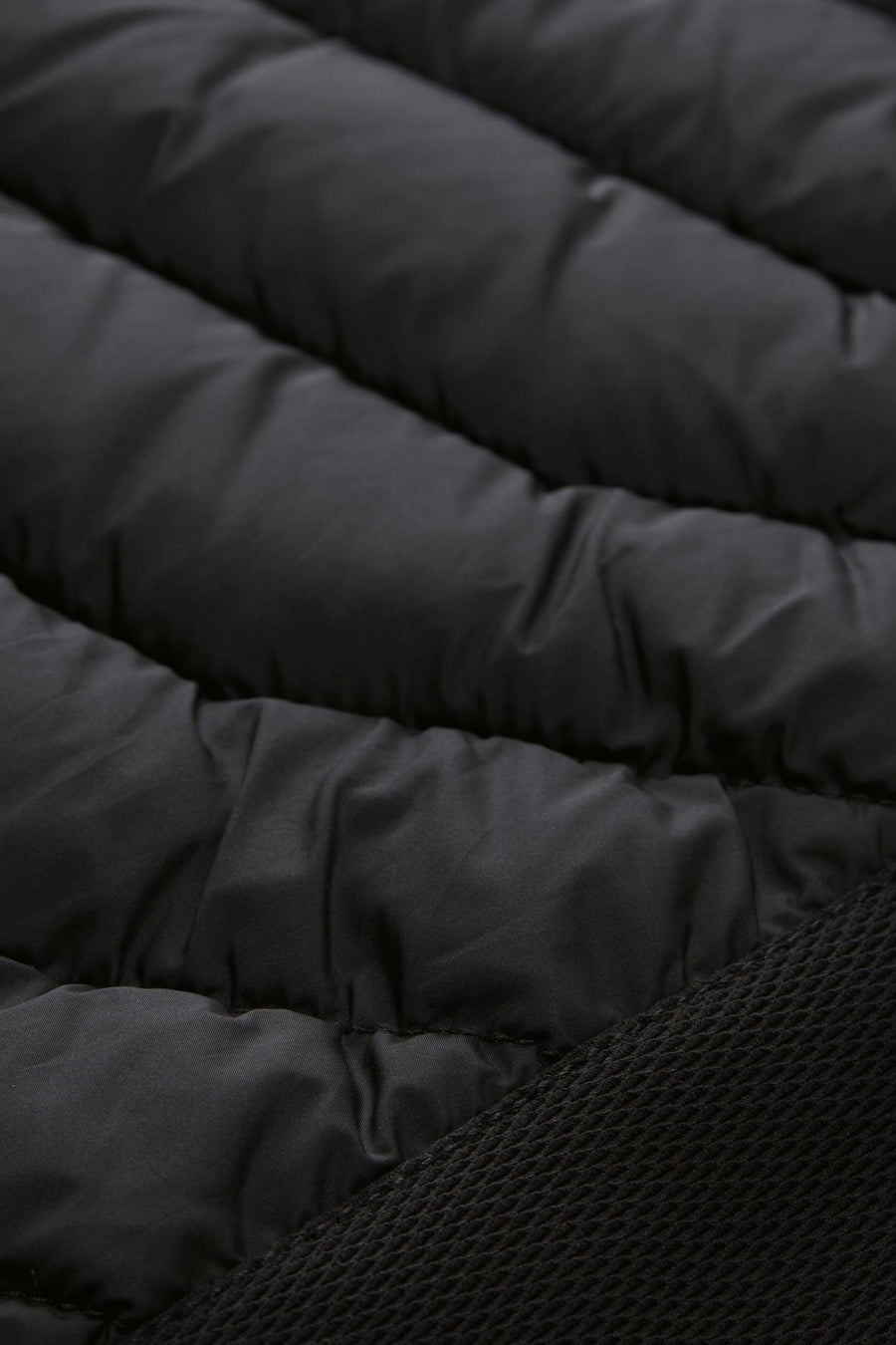 Korte jas - zwart - TOM TAILOR