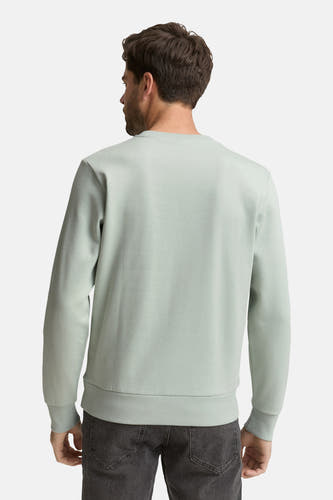 Groene sweater met ronde hals van TOM TAILOR, gezien vanaf de achterkant, gecombineerd met een grijze jeans.