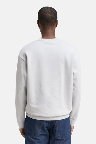 Grijze sweater met ronde hals van TOM TAILOR, rug aanzicht, gecombineerd met een donkerblauwe jeans.
