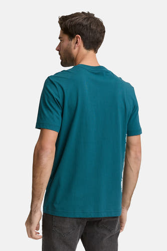 T-shirt bleu à manches courtes de TOM TAILOR, vu de dos, porté avec un jean foncé.