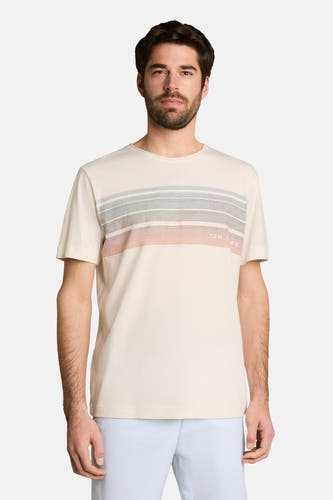 Witte korte mouw T-shirt van TOM TAILOR met horizontale strepen in grijs en roze, voorzien van klein logo, front view op model