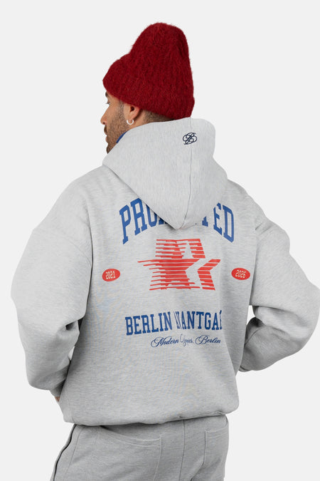 Sweater met kap grijs - PROHIBITED