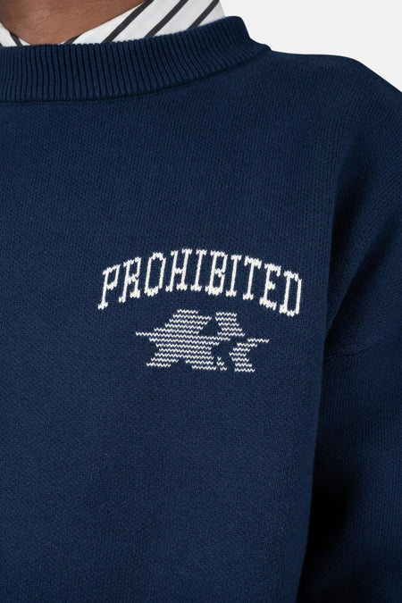 Trui met ronde hals blauw - PROHIBITED