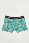 Boxers - vert
