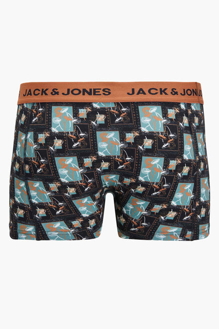 Boxers - bruin