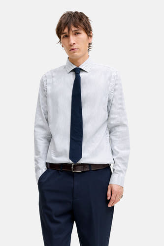 Blauw, gestreept overhemd met lange mouwen van PREMIUM by JACK & JONES, gedragen met een donkere broek en stropdas.