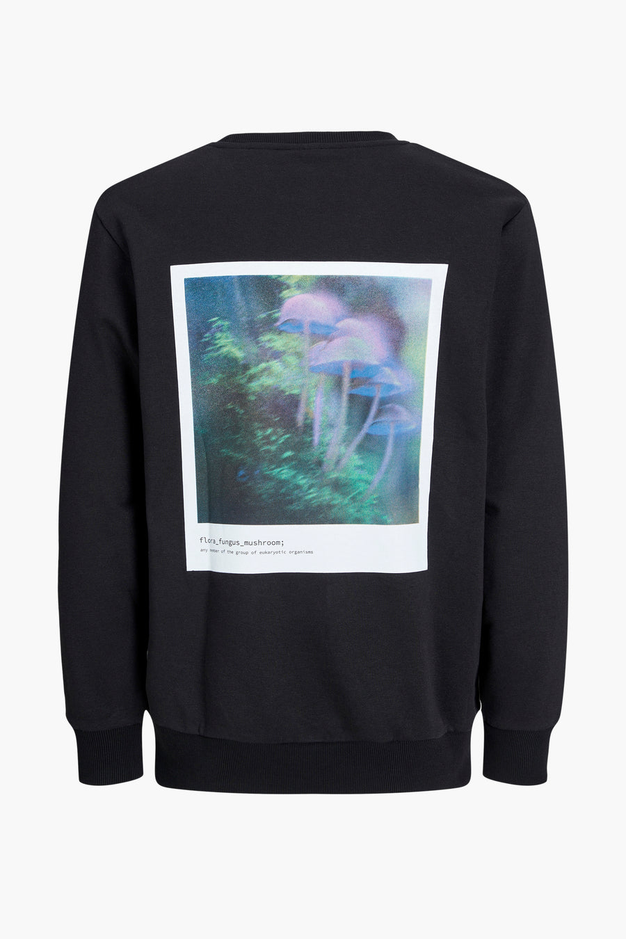 Sweater - zwart - CORE BY JACK & JONES