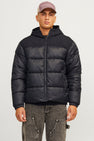 Veste courte Noir - ORIGINALS BY JACK & JONES