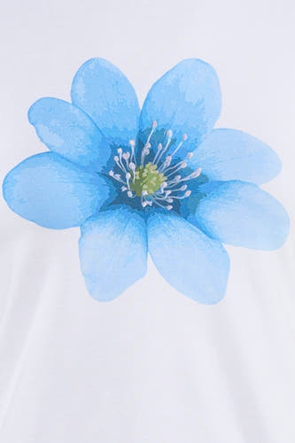 Witte korte mouwen t-shirt met blauwe bloemprint van JJXX, centraal geplaatst, close-up weergave