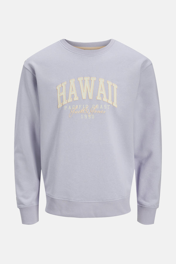 Sweater met ronde hals Paars - ORIGINALS BY JACK & JONES