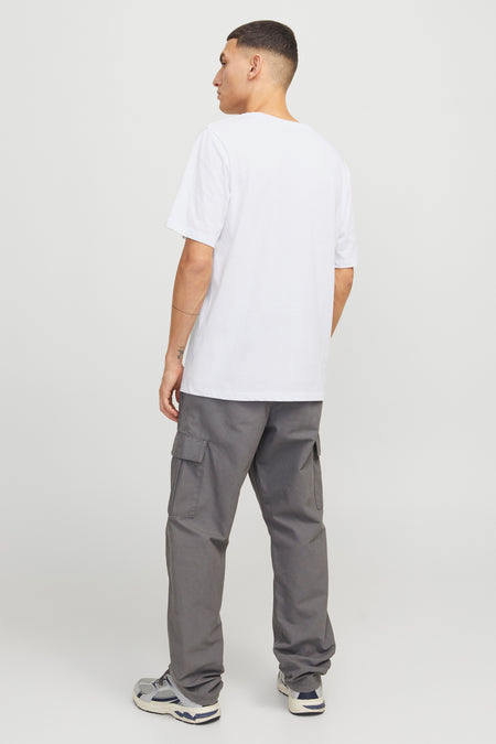 JJHUDSON TEE SS CREW NECK LN