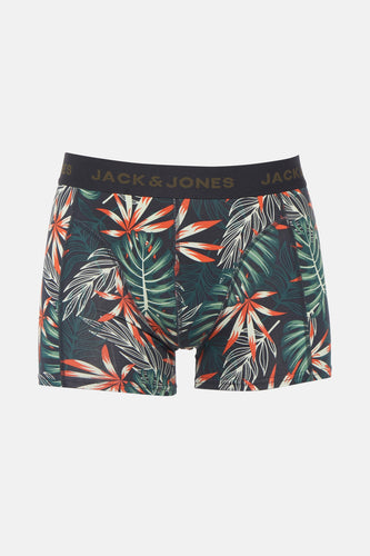 Boxers - vert