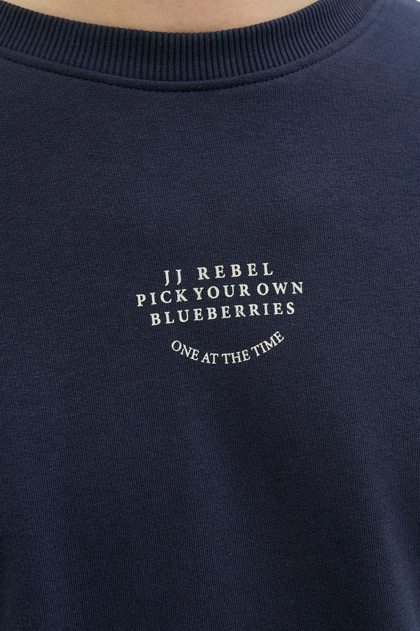 Sweater met ronde hals Blauw - JJREBEL
