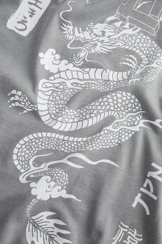 T-shirt à manches courtes - gris