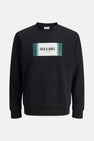 JJHAYATO SWEAT CREW NECK BTS LN