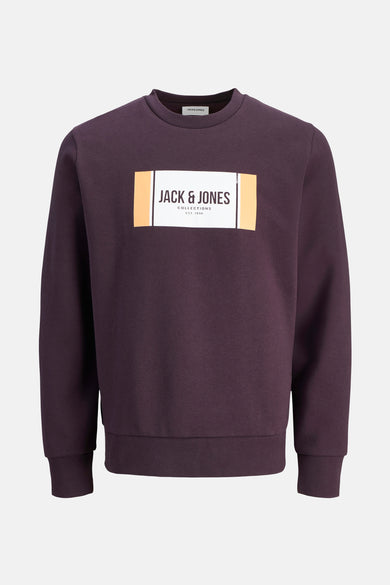 JJHAYATO SWEAT CREW NECK BTS LN