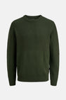 Pull met ronde hals - groen