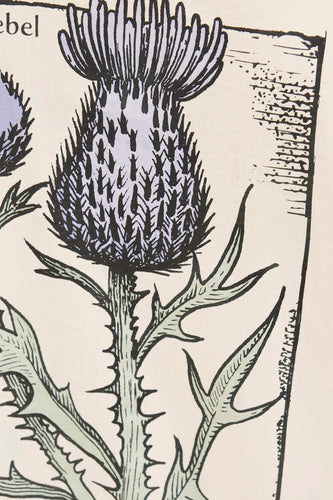 T-shirt à manches courtes - écru - JJREBEL