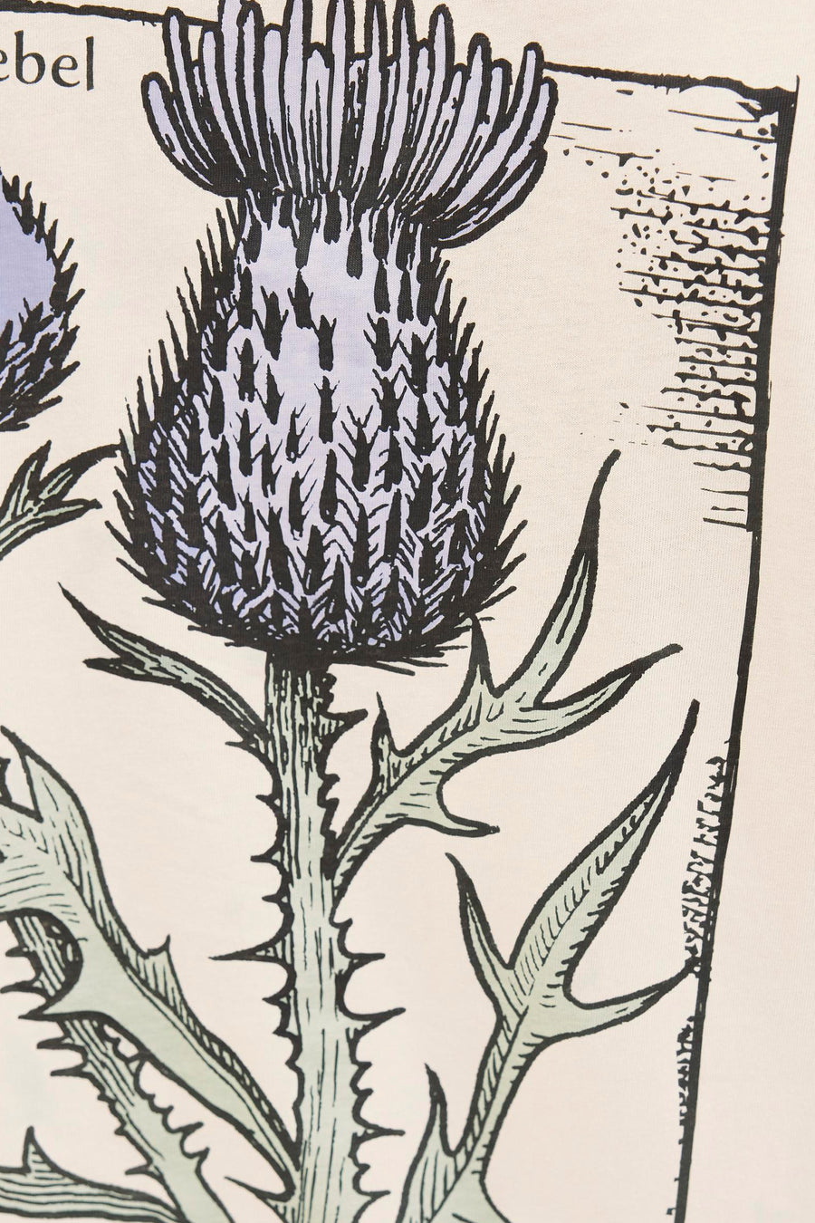 T-shirt à manches courtes - écru - JJREBEL