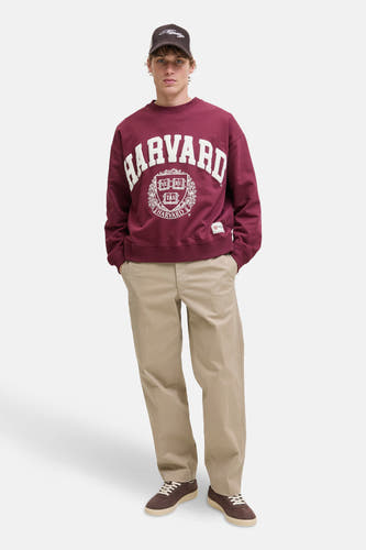 Beige chino van JACK & JONES JEANS INTELLIGENCE, gecombineerd met een bordeauxrode Harvard sweater en bruine schoenen.