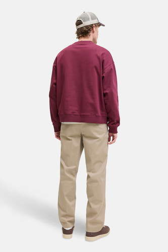 Beige chino van JACK & JONES JEANS INTELLIGENCE, gezien van achteren, met een ontspannen pasvorm.