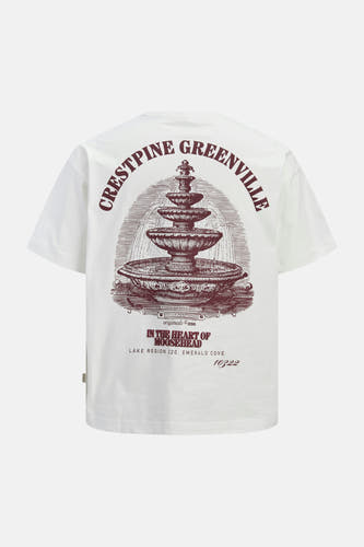 Wit T-shirt van ORIGINALS BY JACK & JONES, met een vintage fonteinprint op de rug en tekstuele details.
