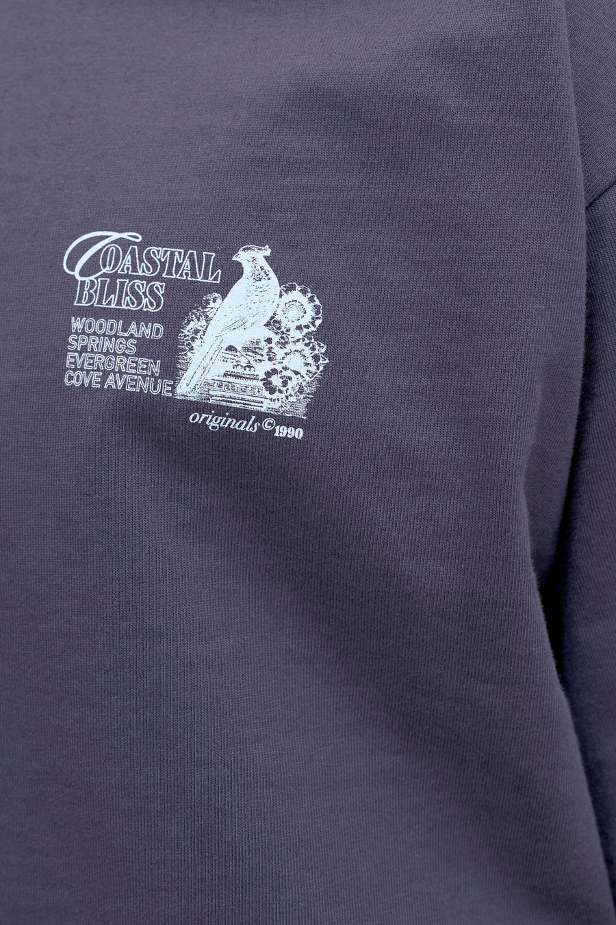 T-shirt bleu de ORIGINALS BY JACK & JONES avec imprimé blanc d'un oiseau et le texte "Coastal Bliss".