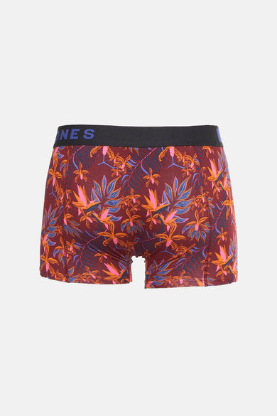 Boxer Multicolore - ACCESSORIES BY JACK & JONES