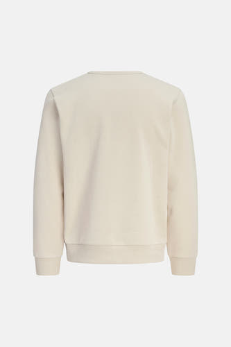Sweater met ronde hals beige - CORE BY JACK & JONES