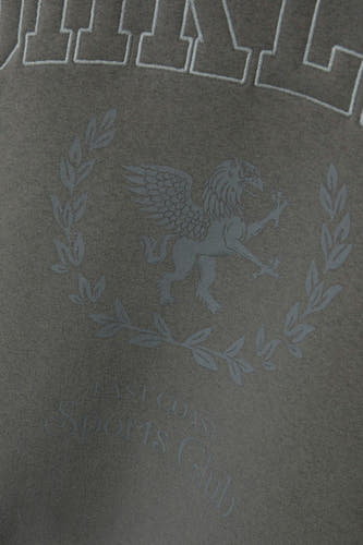 Grijze sweater van LMTD, met een logo en een grafisch motief op de voorkant.