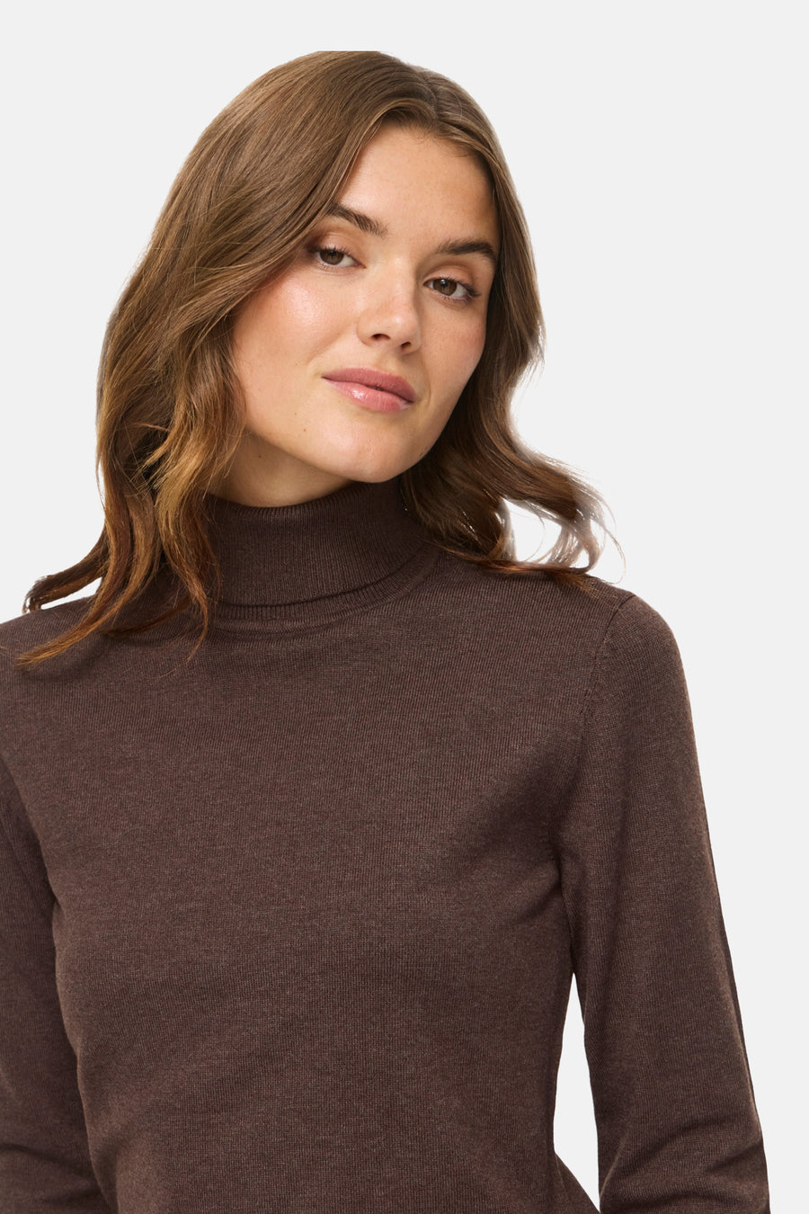 Pull met rolkraag - bruin