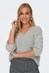 JDYNEW MEGAN L/S PULLOVER KNT NOOS