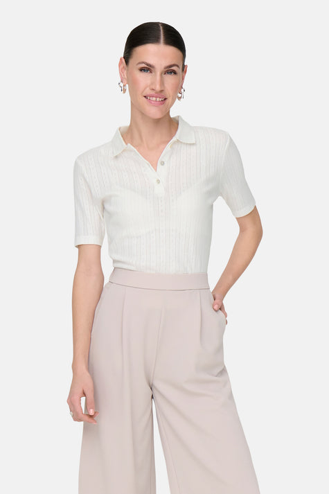 Polo's Wit - JDY