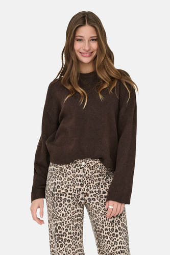 Pull col O brun - ONLY®