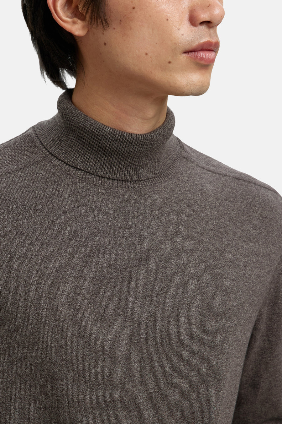 Pull met rolkraag - bruin - SELECTED