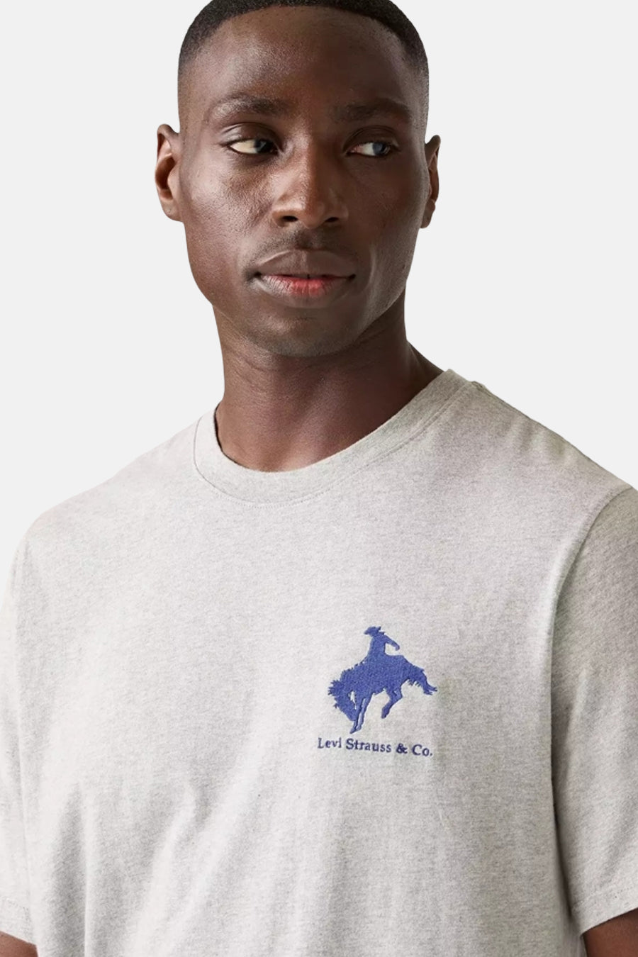 T-shirt met korte mouwen - grijs