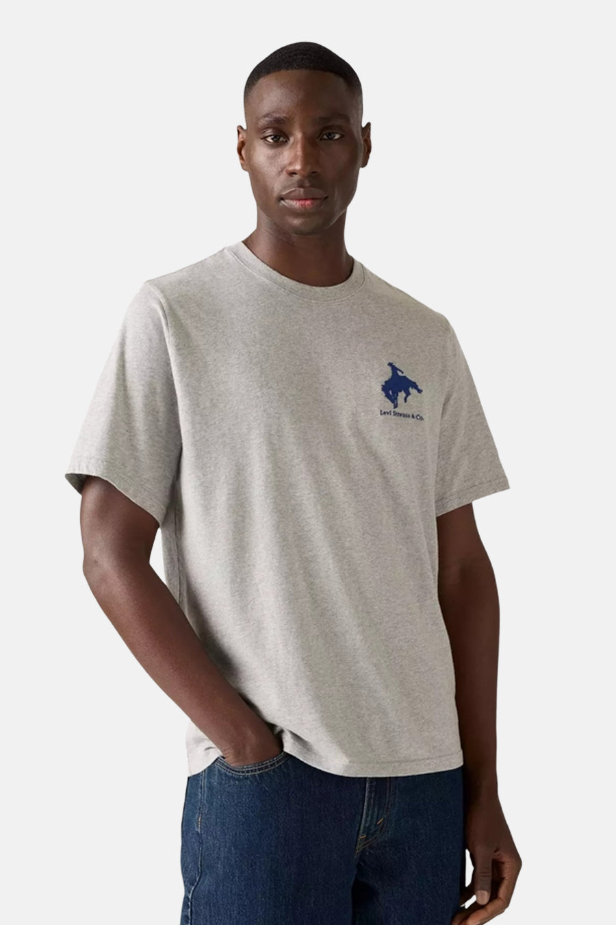 T-shirt met korte mouwen - grijs