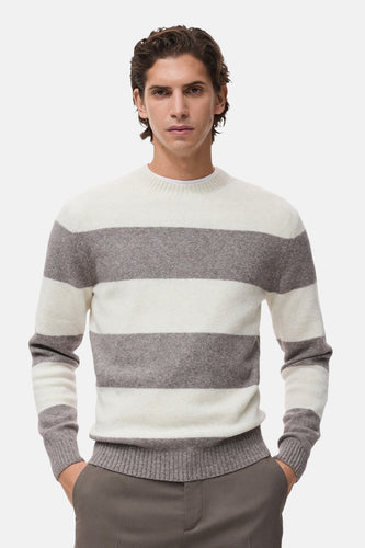 Pull met ronde hals - multicolor