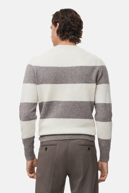 Pull met ronde hals - multicolor