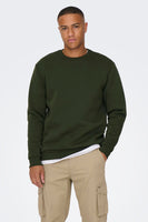 Sweater met ronde hals Groen - ONLY & SONS®